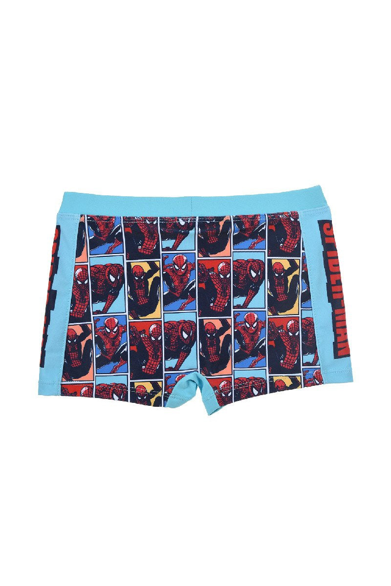Boxer Spiderman Baxer Ritratto