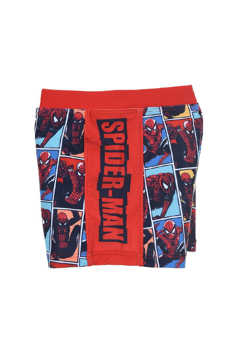 Boxer Spiderman Baxer Ritratto