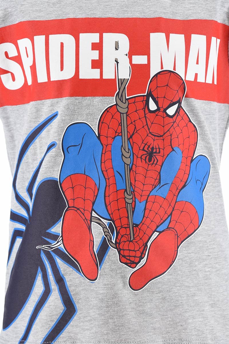Spiderman Spider Set